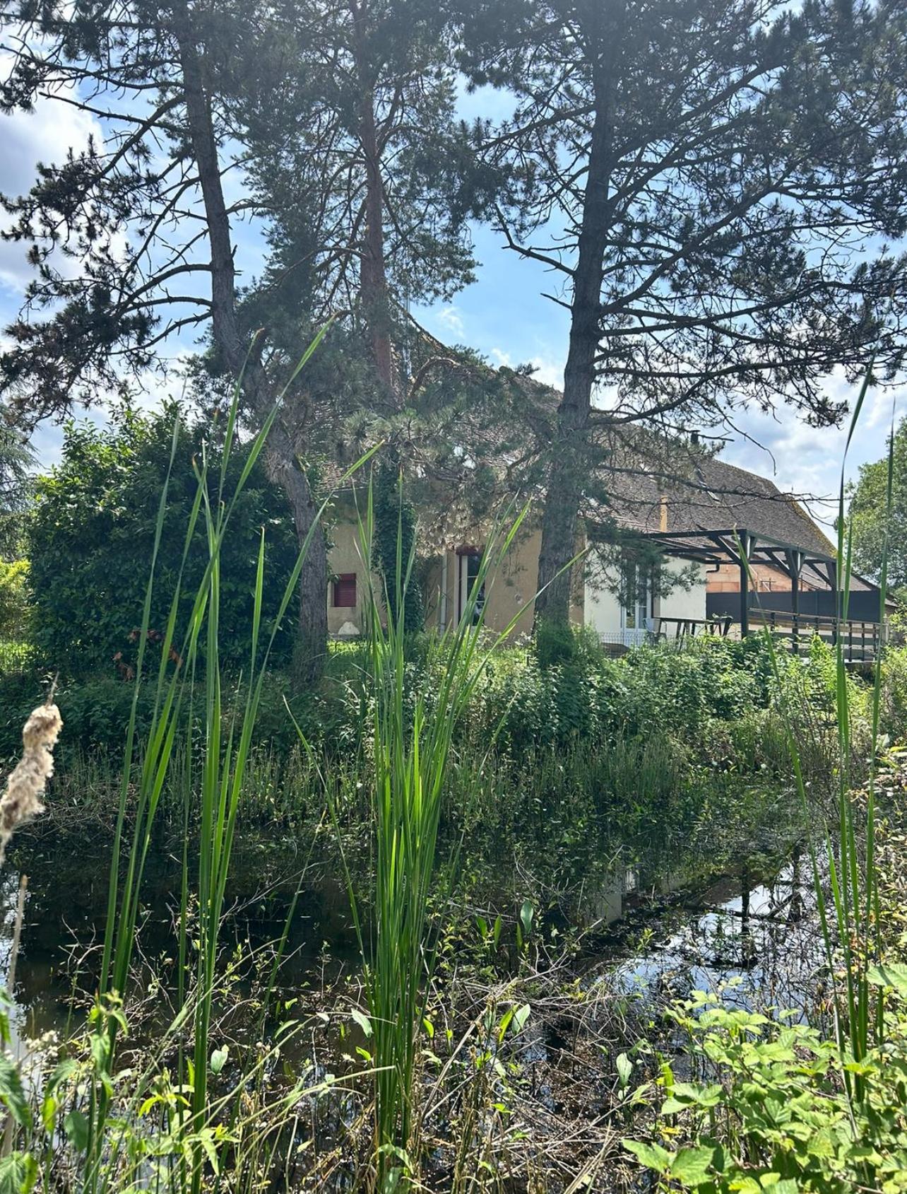 Le Gite Du Chateau Mouton Chatenoy-le-Royal Buitenkant foto