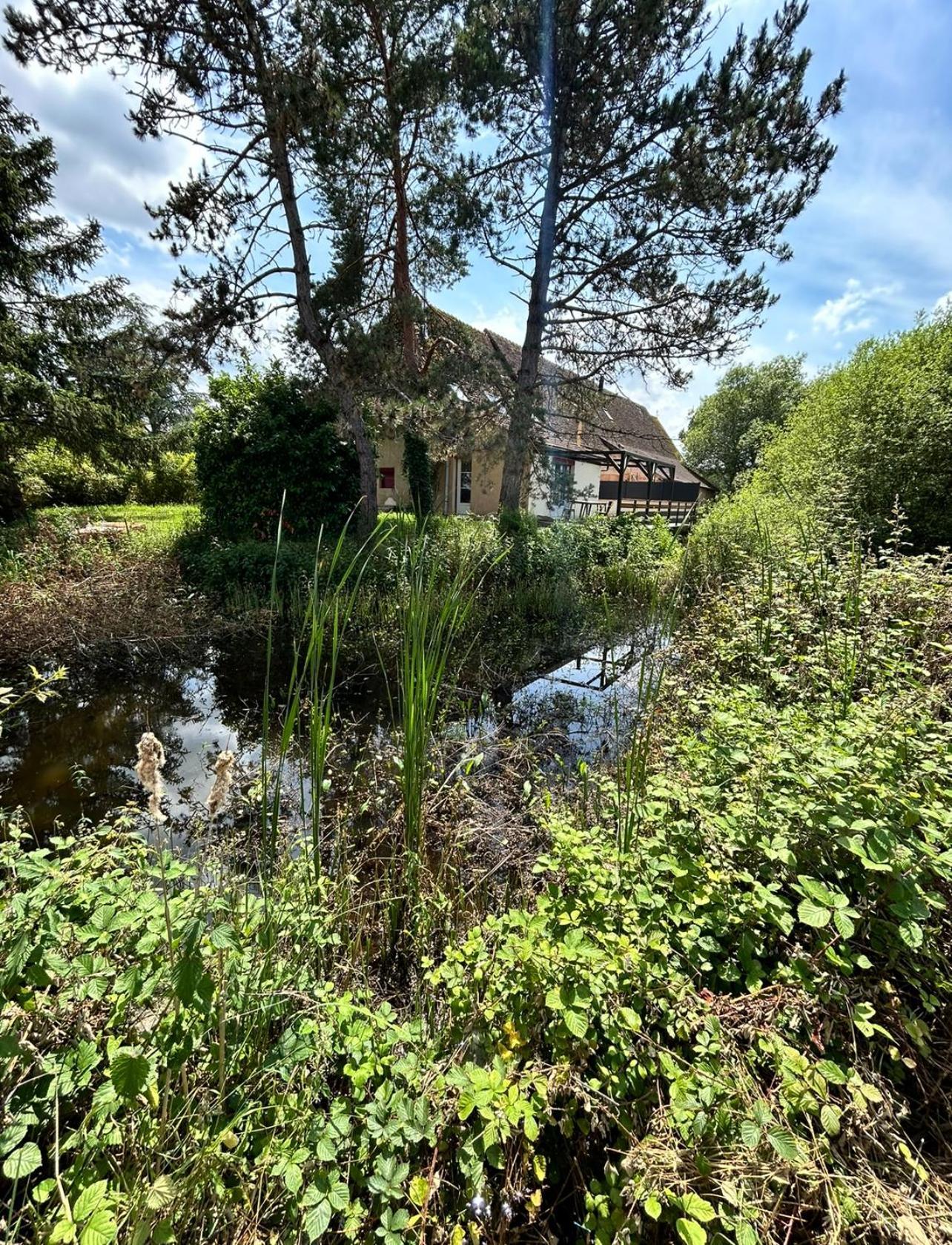 Le Gite Du Chateau Mouton Chatenoy-le-Royal Buitenkant foto